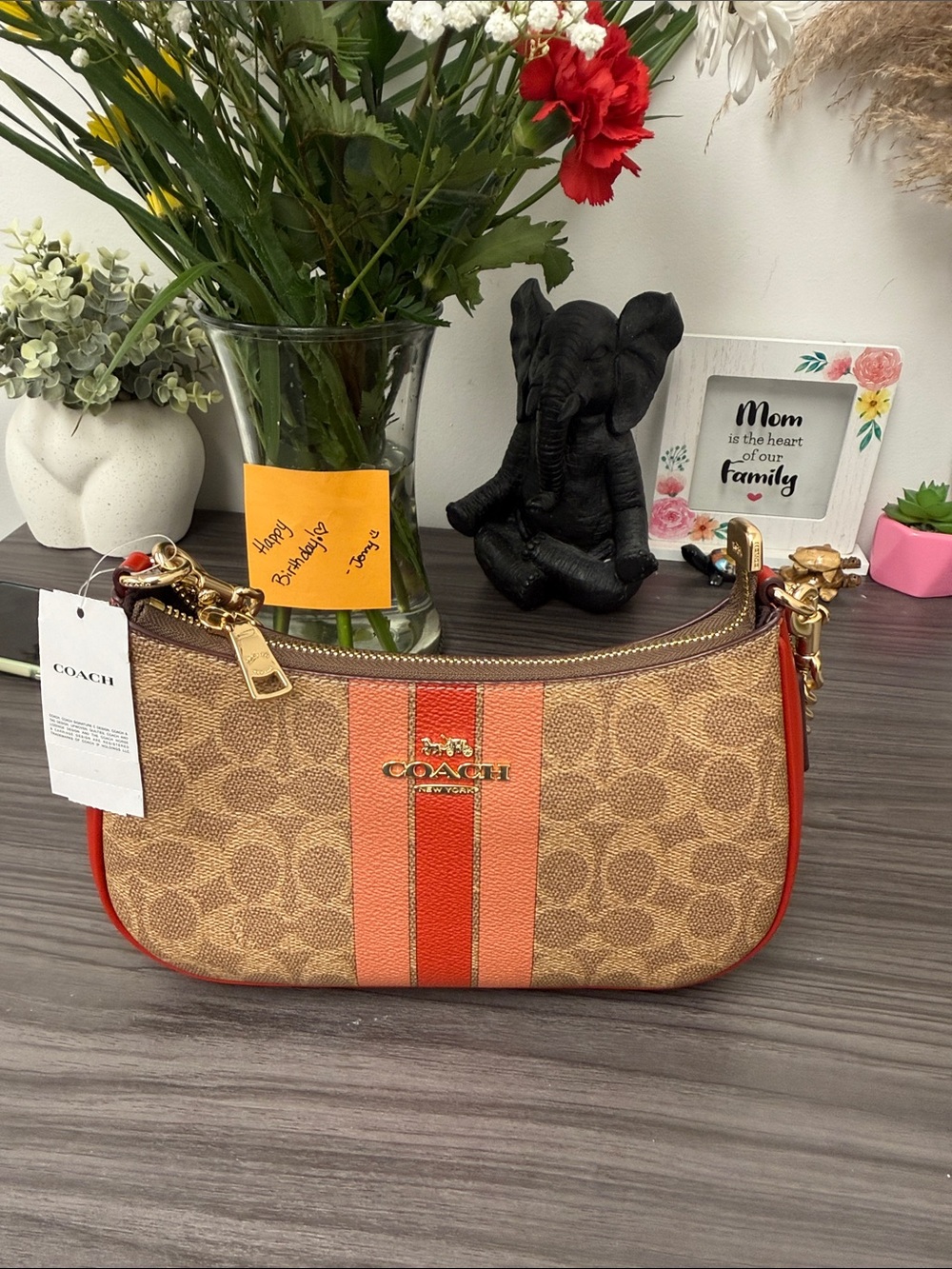 Coach Teri Shoulder Bag in Brown with Red Stripe and matching wristlet